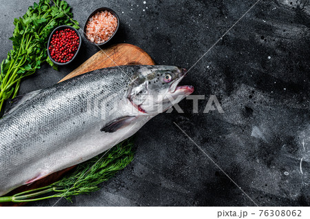 Uncooked raw sea salmon whole fish on a wooden board with herbs. Black background. Top view. Copy space Uncooked raw sea salmon whole fish on a wooden board with herbs. Black background. Top view. Copy space 76308062