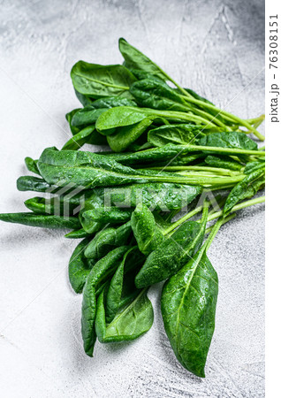 Raw fresh spinach leaves on a stone table. White background. Top view 76308151