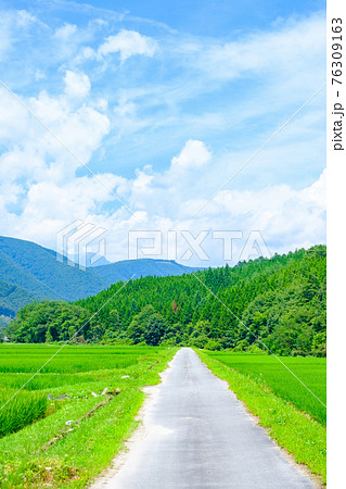 夏の田舎風景 76309163