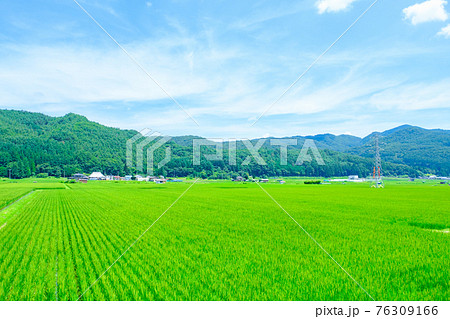 夏の田舎風景 76309166