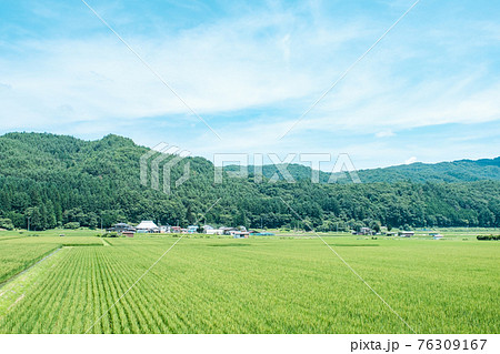 夏の田舎風景 76309167