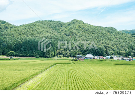 夏の田舎風景 76309173