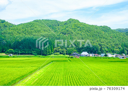 夏の田舎風景 76309174