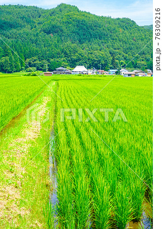 夏の田舎風景の写真素材