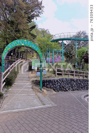 埼玉県 仙元山 見晴らしの丘公園 76309433