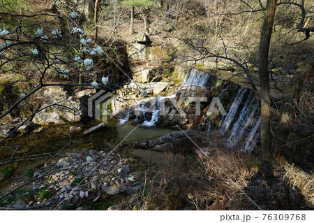 花 川 河 76309768