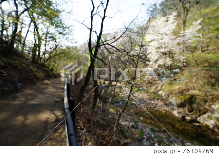 風景 水 観光地 76309769