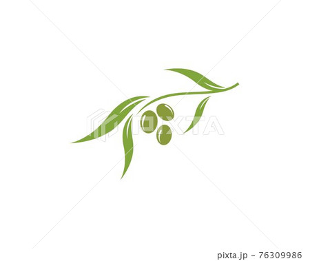 olive logo template olive logo template 76309986