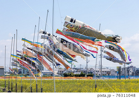 大空を泳ぐ鯉のぼり 76311048