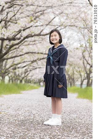満開の桜並木と新入学の中学生 満開の桜並木と新入学の中学生 76313010