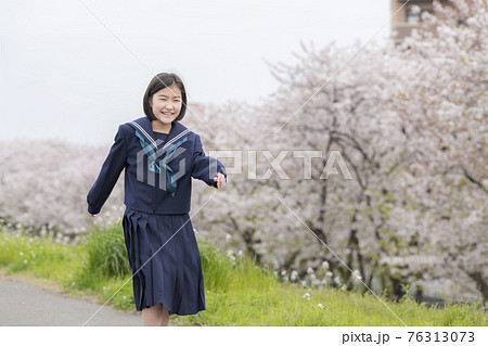 桜の咲く河川敷をあるく新中学生 76313073