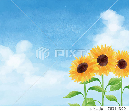 ひまわり ヒマワリ 向日葵 青空 ひまわり畑 夏 花 イラスト 手描きのイラスト素材 ひまわり ヒマワリ 向日葵 青空 ひまわり畑 夏 花 イラスト 手描きのイラスト素材