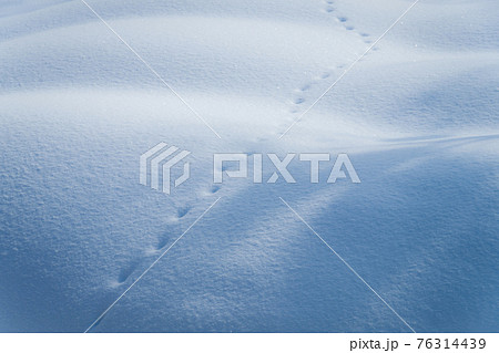 雪原のモコモコした凹凸 76314439