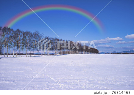 道東地方の雪景色と虹 道東地方の雪景色と虹 76314463