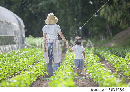 畑を歩く、農家の親子 76315394