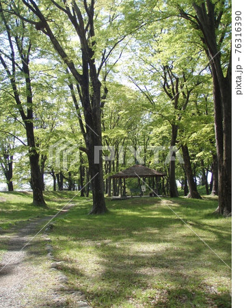 公園 釜無川スポーツ公園 公園 釜無川スポーツ公園 76316390