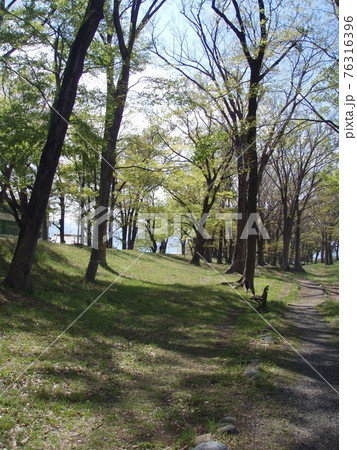 公園 釜無川スポーツ公園 公園 釜無川スポーツ公園 76316396