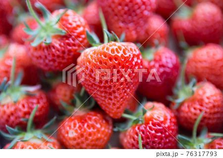 新潟県産いちご越後姫 76317793
