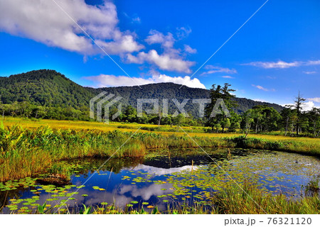 尾瀬 尾瀬 76321120