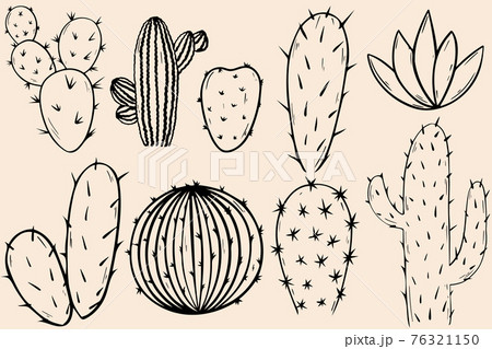 Set of cacti. Sketch of cacti. Doodles on a light background, vector. 76321150