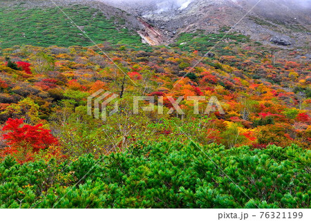 那須 那須 76321199