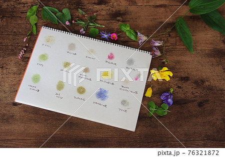 お花と葉っぱの色遊び お花と葉っぱの色遊び 76321872