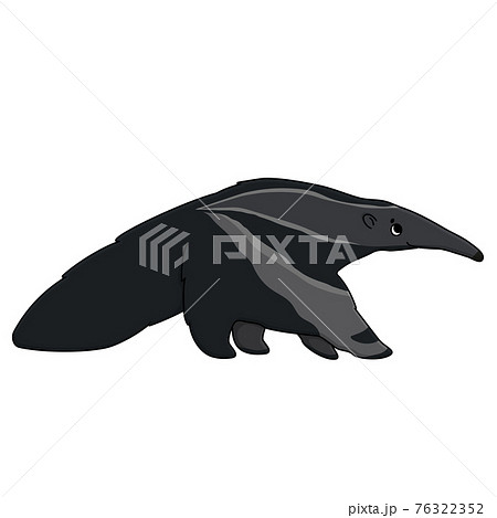 Vector outline cute cartoon isolated anteater gray animal is going to somewhere and looks up. Hand drawn doodle ant-eater illustration on white background, side view. 76322352