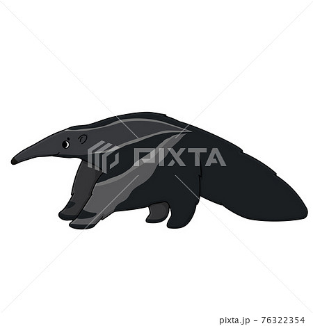 Vector gray beautiful outline cute fluffy cartoon isolated ant-eater or anteater. Animal stands and looks to the left. Hand drawn doodle illustration on white background, side view. 76322354