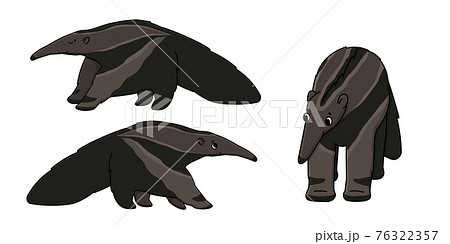 Set of three brown cute beautiful outline cartoon isolated ant-eaters or anteaters. Vector animals stand or go to somewhere, front and side view. Hand drawn doodle illustration on white background. 76322357