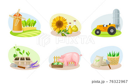 Farming Composition with Agricultural Crops and Farming Inventory Vector Set 76322967