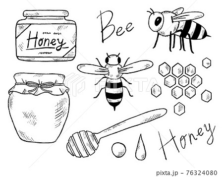 蜂やはちみつの白黒手書きイラストイメージのイラスト素材