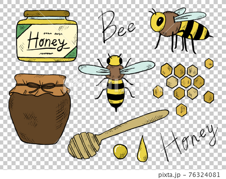 蜂やはちみつの手書きイラストイメージのイラスト素材