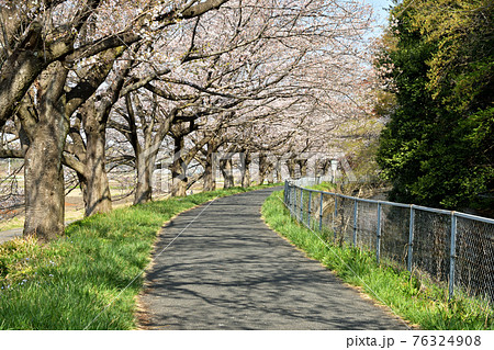 見沼田圃散歩:加田屋新田 緑のヘルシーロード 見沼田圃散歩:加田屋新田 緑のヘルシーロード 76324908
