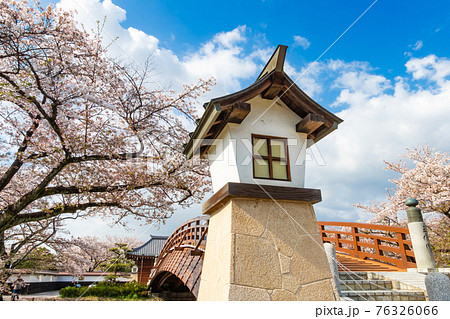 五条川にかかる裁断橋、満開の桜〈愛知県丹羽郡〉 76326066