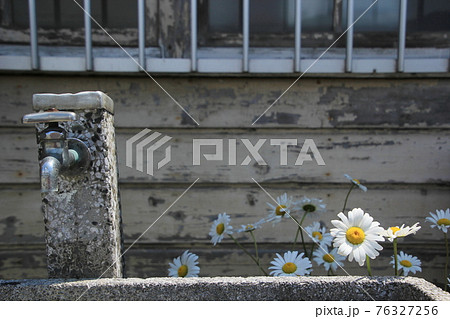 秩父鉄道 波久礼駅の水道と花 秩父鉄道 波久礼駅の水道と花 76327256