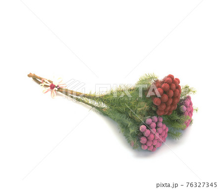 花 フラワー お花 76327345