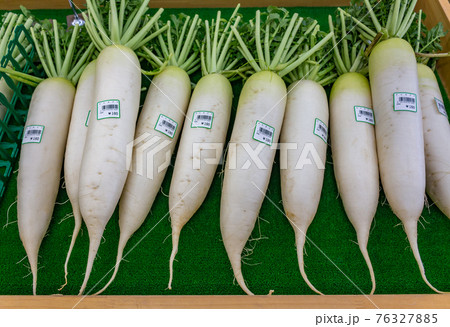 Daikon radish, Kanazawa, Japan. Daikon radish, Kanazawa, Japan. 76327885