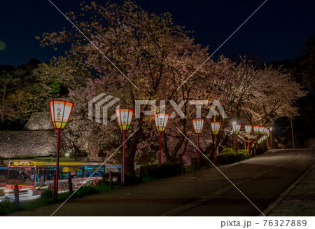 Cherry blossoms and lanterns, Kanazawa, Japan. Cherry blossoms and lanterns, Kanazawa, Japan. 76327889