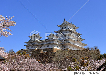 姫路城と桜 姫路城と桜 76328286