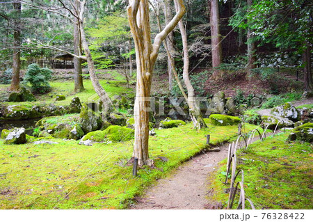 多気北畠氏城館【続日本100名城】 多気北畠氏城館【続日本100名城】 76328422