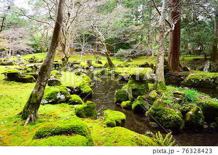 多気北畠氏城館【続日本100名城】 多気北畠氏城館【続日本100名城】 76328423