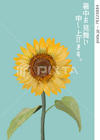 ひまわり暑中見舞い縦のイラスト素材