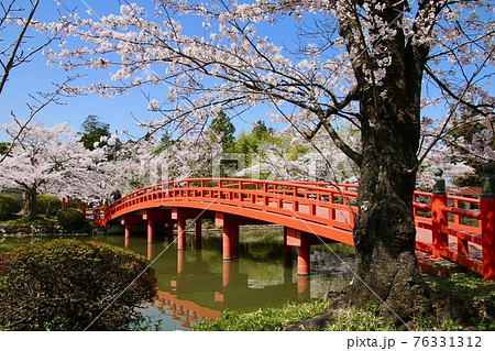 涼ケ岡八幡神社の桜（福島県・相馬市） 76331312