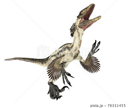 Deinonychus Stock Photo - Download Image Now - Deinonychus, Dinosaur,  Feather - iStock