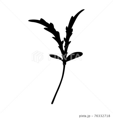 ve-6094.eps 76332718