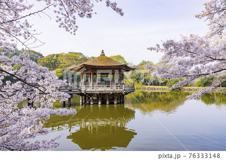 奈良公園 桜満開の浮御堂の写真素材 [76333148] - PIXTA