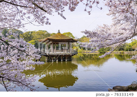 奈良公園 桜満開の浮御堂 奈良公園 桜満開の浮御堂 76333149