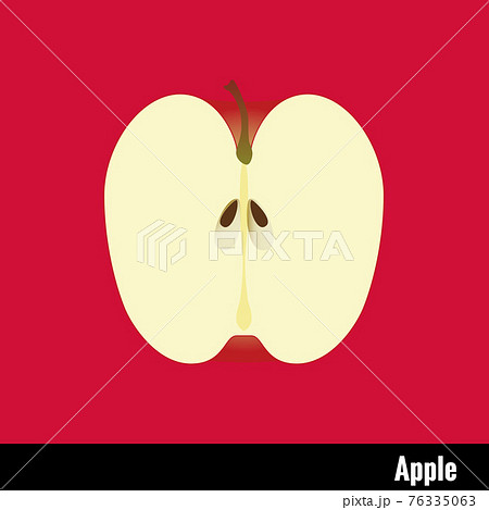 フルーツシリーズ りんごの断面イラスト インテリア 食育 英単語の勉強に使える素材です のイラスト素材