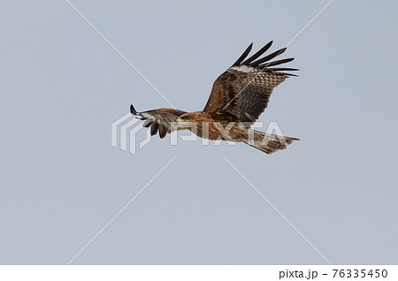 風蓮湖　冬景色 76335450