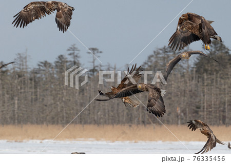 風蓮湖 冬景色 風蓮湖 冬景色 76335456